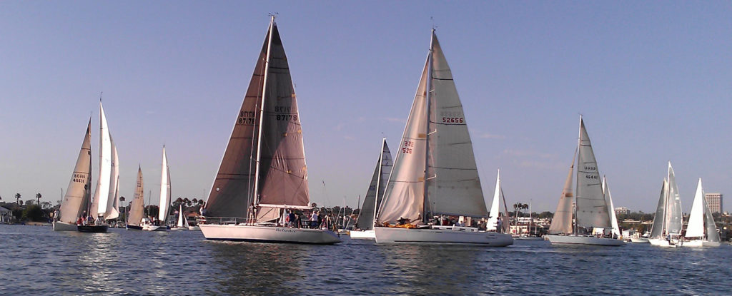 Volunteer sailing crew in a beer can race?